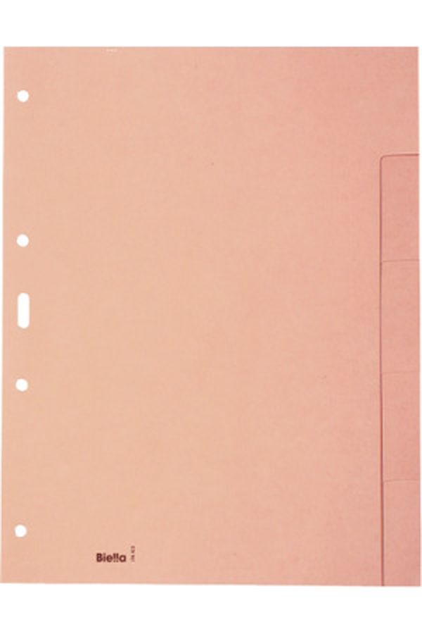BIELLA Register Karton hellbraun A4 - Image 1
