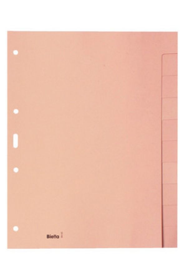 BIELLA Register Karton hellbraun A4 - Image 1