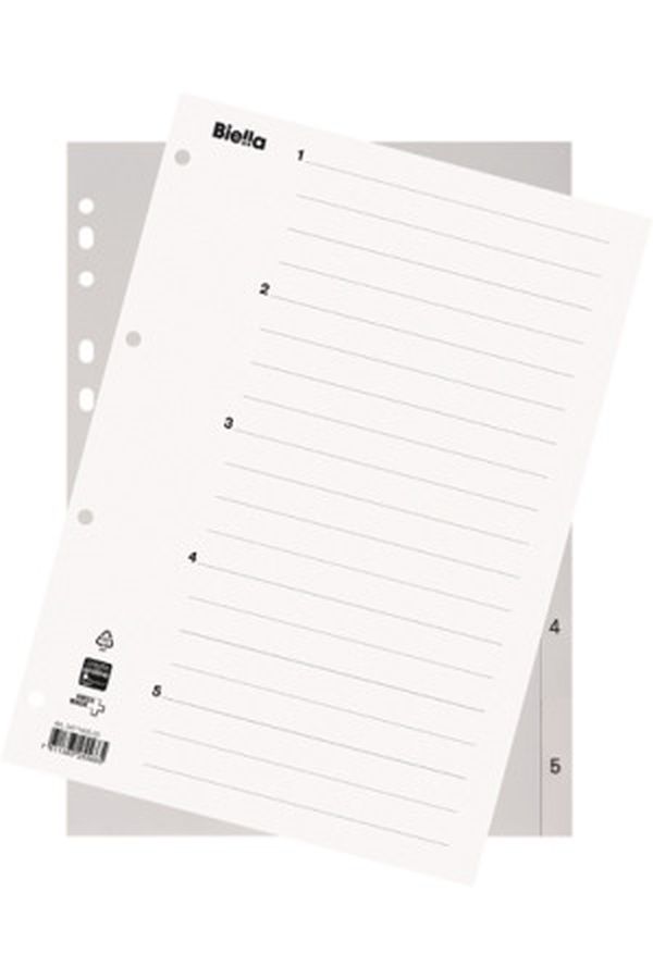 BIELLA Register PP grau A4 - Image 1