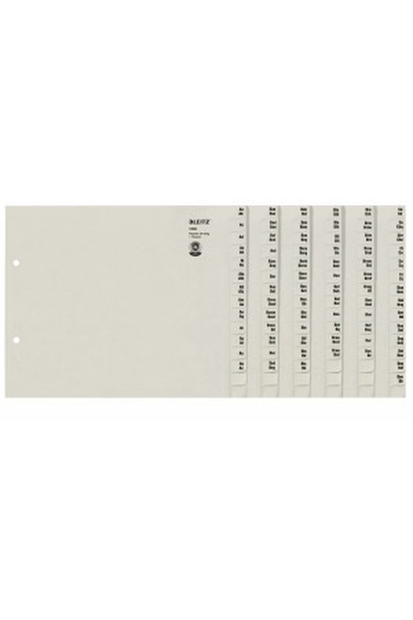 LEITZ Register Papier grau A4 - Image 1